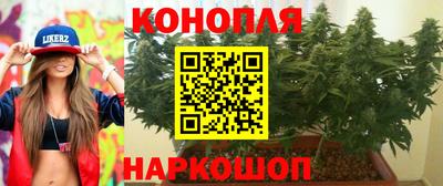 apvp Заводоуковск