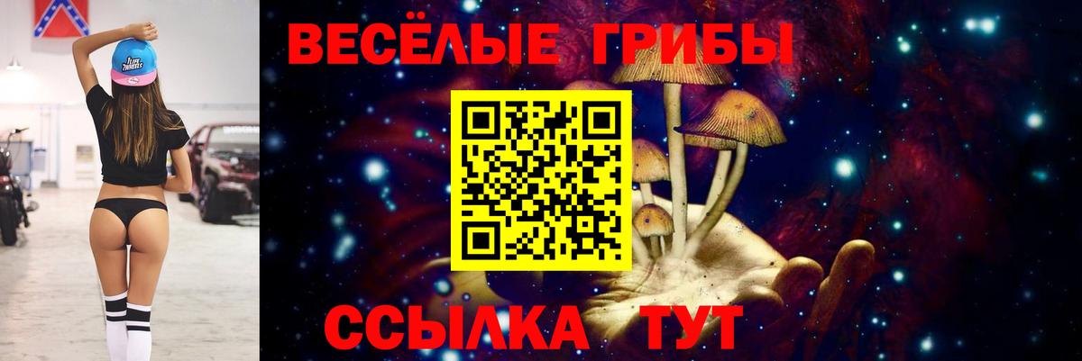 Людиново  Псилоцибиновые грибы Magic Shrooms  что такое   Вход с VPN 